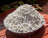 Photo showing Cassava