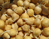 Photo showing Chickpeas