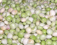 Photo showing Pigeonpeas