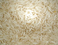 Photograph of Rice