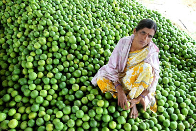 photo of agricultural research