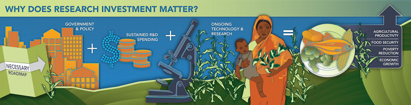 Illustration-why research matters - government policy plus sustained r and d spending plus ongoing technology research equals agricultural productivity, food security, poverty reduction and economic growth 