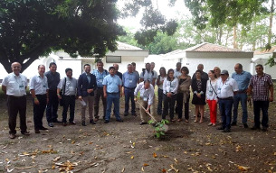 Photo - Villagers cultivate coffee in Olopa - CCAFS / J.L.Urrea